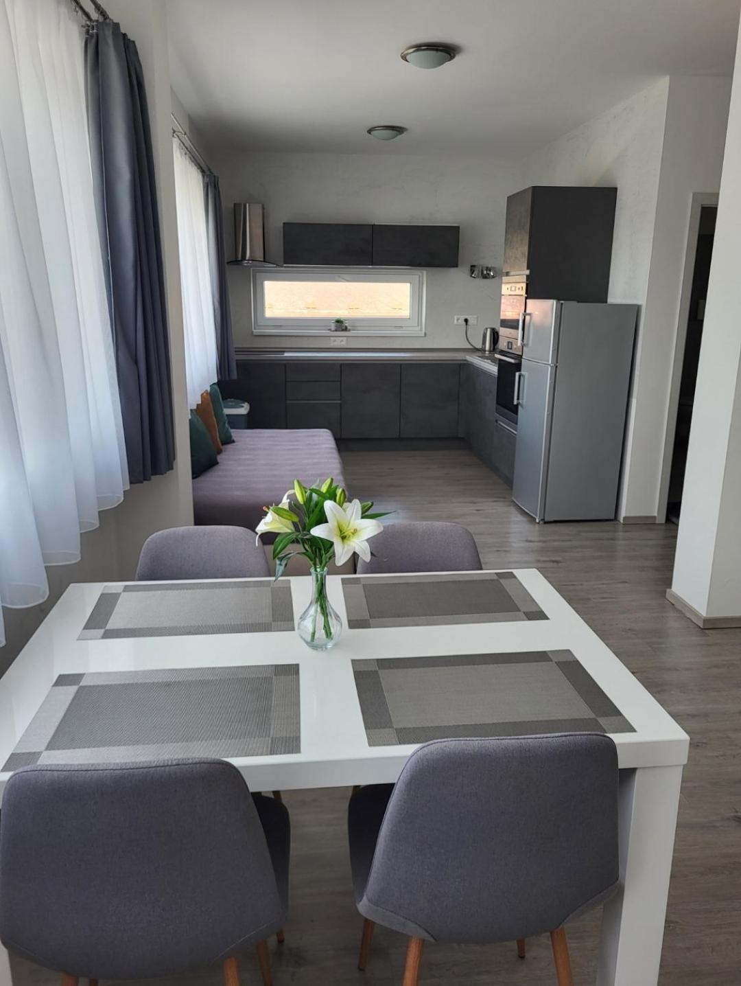 Apartman Gabriela Roudne ภายนอก รูปภาพ